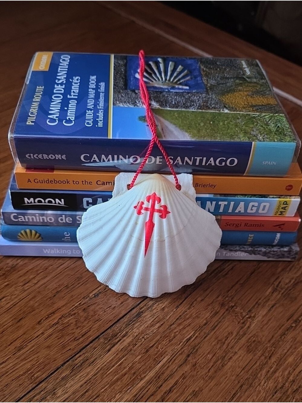Camino De Santiago Pilgrimage Books (6 Total), Guidebooks, Maps, Like New!